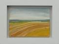 mini-landscapes-32