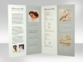 silwood-leaflet.jpg